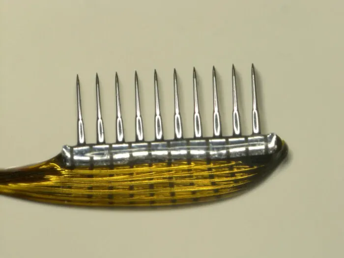 A Utah array seen side-on: a row of its silicon needles, each tipped with a recording site, rising from the base on its fine wire bundle