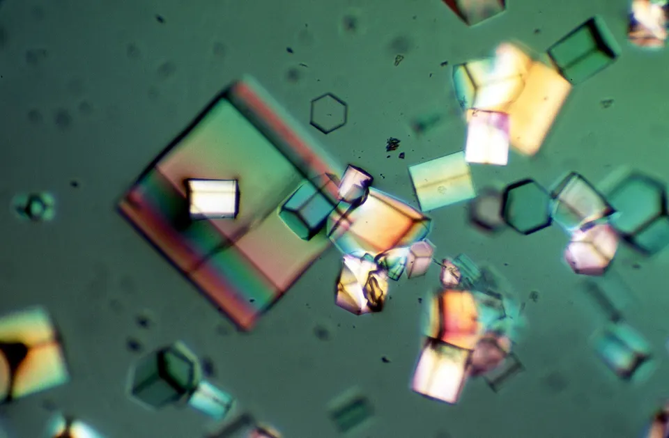 Protein crystals grown for X-ray crystallography: the lab method behind the solved structures AlphaFold learned from