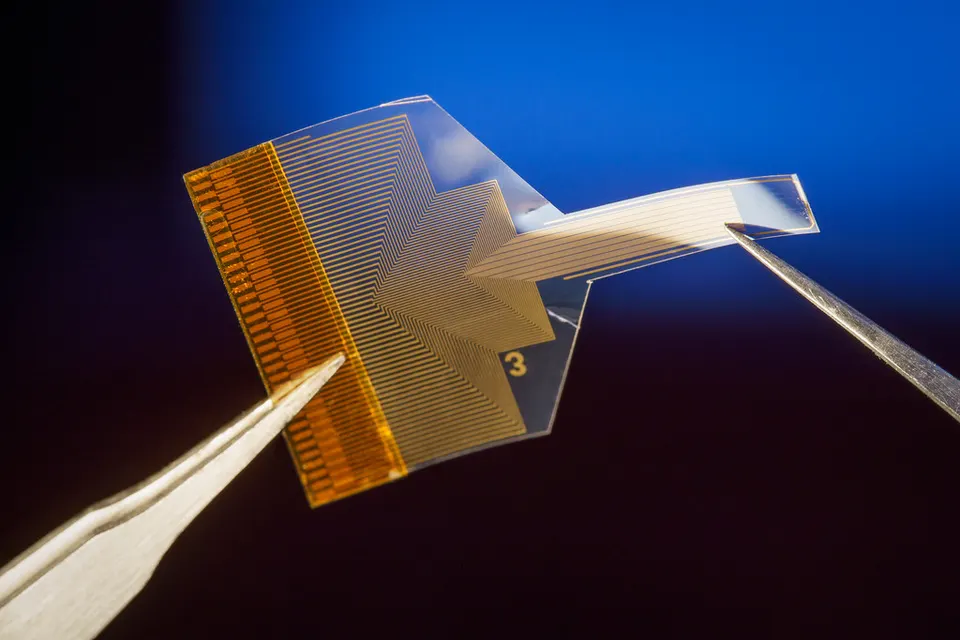 A clear, flexible strip packed with graphene electrodes, from a UC San Diego lab: the material INBRAIN builds on, not INBRAIN's device