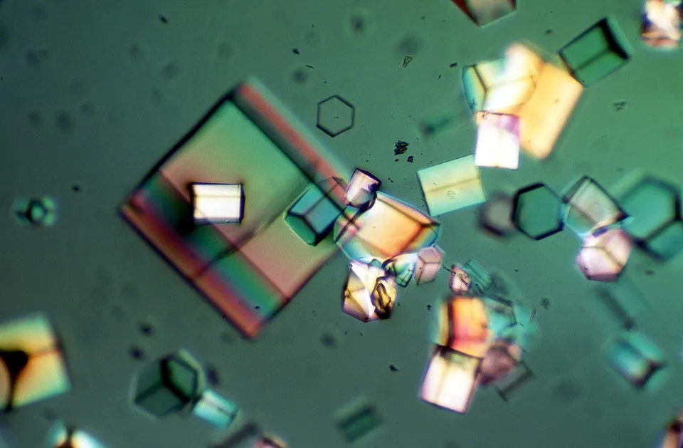 Protein crystals under the microscope: X-ray structures of crystals like these are the data AlphaFold learned 3D shapes from