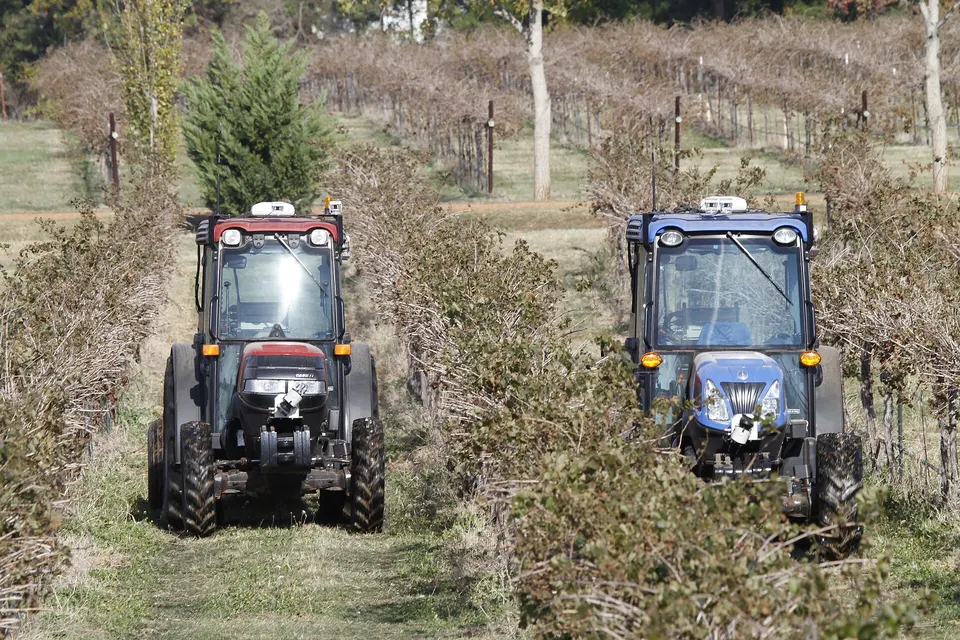 Two driverless tractors working vineyard rows in Texas (2012 trial): the same idea as Deere's autonomy kits, not Deere's own system