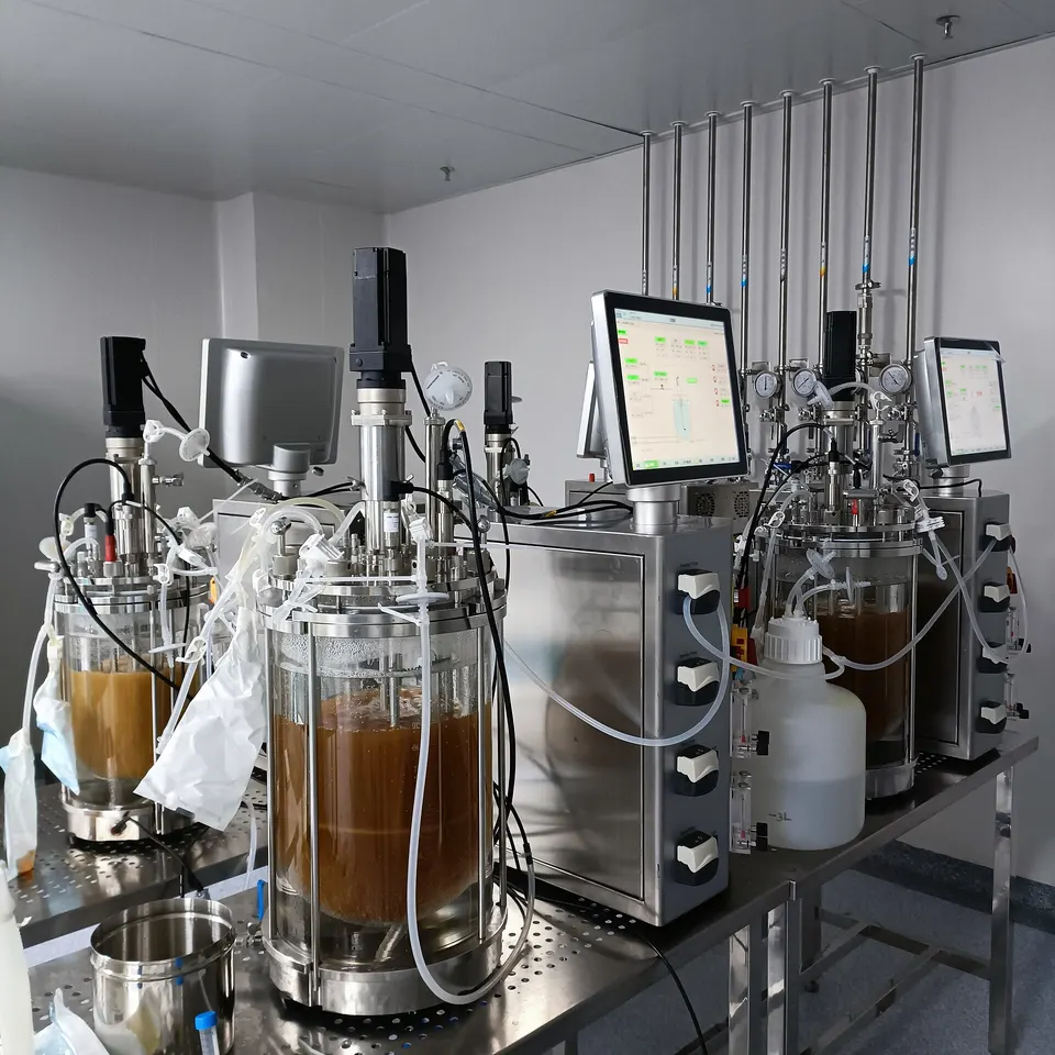 Glass lab bioreactors growing cells in nutrient broth: the same kind of vessel Wildtype uses for salmon cells, not its own